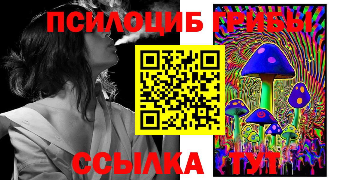 Галлюциногенные грибы GOLDEN TEACHER Знаменск
