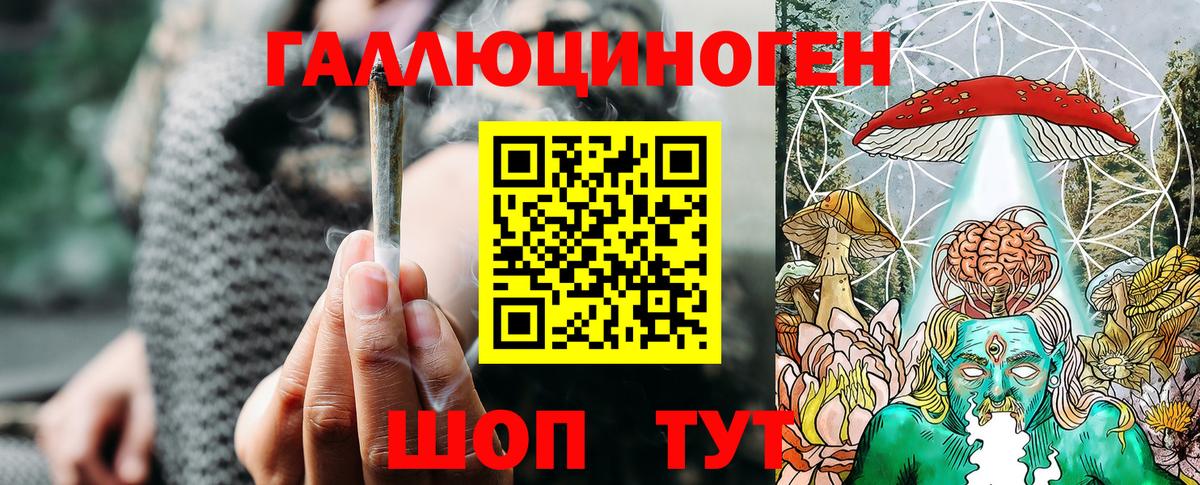 Галлюциногенные грибы Psilocybe  Вход с VPN  Знаменск 